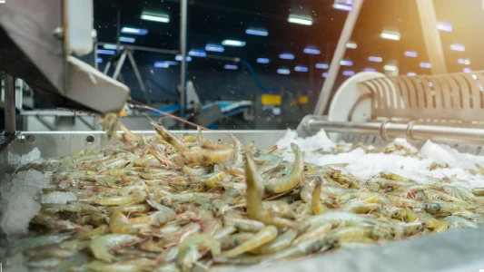 Industria alimentaria de productos del mar