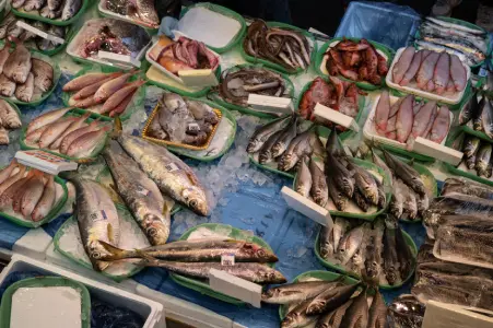 Exhibición de pescado fresco en pescadería mayorista